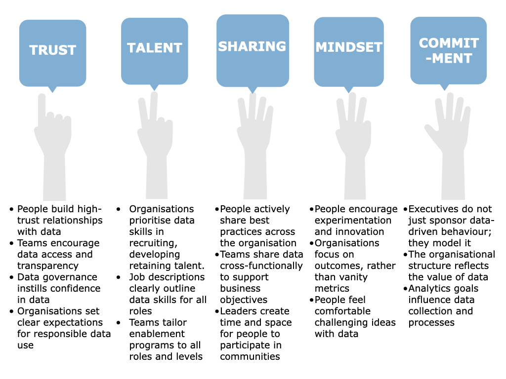 5 pillars data-centric culture

